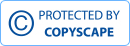 Copyspace logo